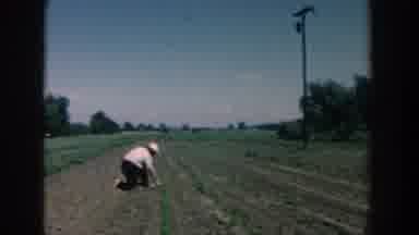 Michigan USA (1957): Two People Tending To The Garden In The Middle Of Summer