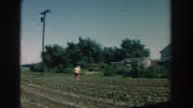 Michigan USA (1957): Harvest On Corn Farm For Family Production And Profits