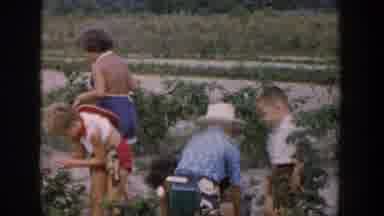 Michigan USA (1957): Picking And Eating Our Own Snacks