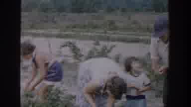 Michigan USA (1957): Women And Kids Are In An Orchard Picking Berries From The