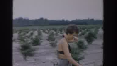 Michigan USA (1957): One Lady,A Couple Are Walking And One Man Doing Something