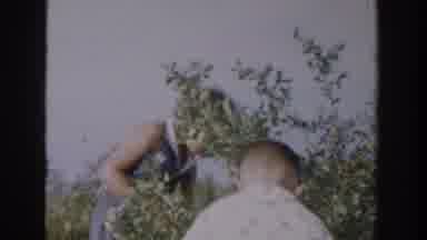 Michigan USA (1957): Some People Catch A Flower