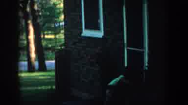Wisconsin USA (1957): Little Boy Playing With Puppy In The Yard Before Going To