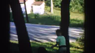 Wisconsin USA (1957): Boy Plays Dog Dog On Lawn Over Trees With Beautiful View Of