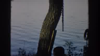Wisconsin USA (1957): Young Boy At Lake Playing Near A Tree And Log