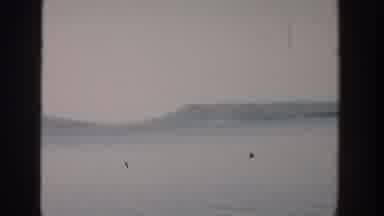 Wisconsin USA (1957): Beautiful Scenic View Of A Large Still Lake Surrounded By