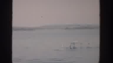 Wisconsin USA (1957): Camera Pans Across Body Of Water With Land Visible In