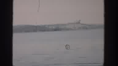 Wisconsin USA (1957): A Lake Transitioning Into A Boy Looking Over A Gate In Front