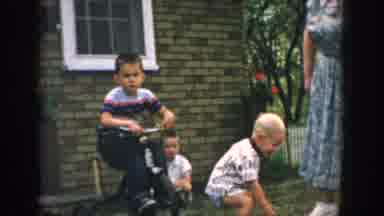 Wisconsin USA (1957): Child Take A Grases And Grandma Was Watching In The Garden