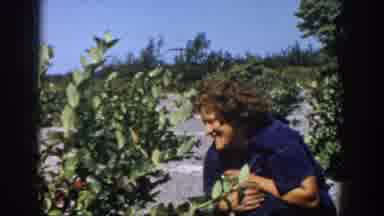Michigan USA (1958): Woman Inspecting (Looking) At A Plant