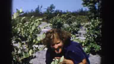Michigan USA (1958): Girl Walking In The Forest With Mother
