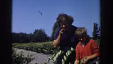 Michigan USA (1958): One Lady And A Girl Is Doing Something With A Plant