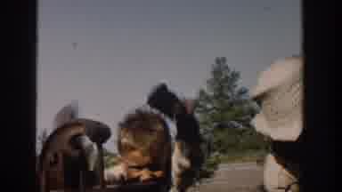 MICHIGAN USA-1958: Children Enjoying A Day On The Ranch