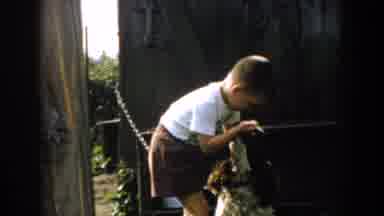 Michigan USA (1958): The Video Shows A Child Playing With A Dog That Is Stuck It