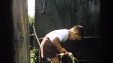 Michigan USA (1958): Young Boy Pets And Gives Attention To Spaniel Dog