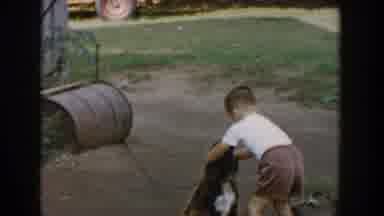 Michigan USA (1958): Boy Petting His Dog And Playing In A Part Of A Pickup Truck