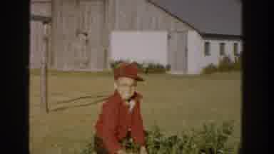 Michigan USA (1958): Little Boy Pretending To Cut Shrubs With A Toy As He Looks Up
