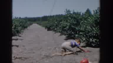 Michigan USA (1958): Kid Playing And Crawling On The Dirt On The Ground In A