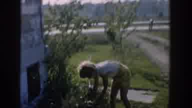 Michigan USA (1958): The Many Children Are Playing In The Garden And Children Take