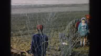 Michigan USA (1958): The Children's Are Supposed To Have A Look On A Cultivable