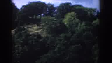 Wisconsin USA (1958): Panoramic View Recording Of Trees And Nature Next To The