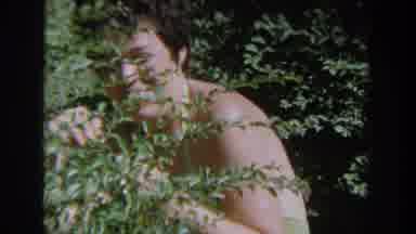 Wisconsin USA (1964): Woman Hiding Behind A Bush In The Forest