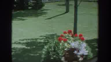Wisconsin USA (1964): Garden And Grass Houses Lure People Out To Picnic And Party