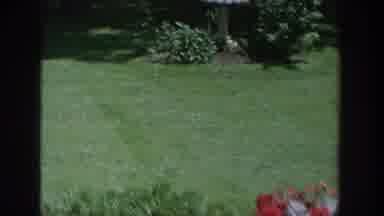 Wisconsin USA (1964): A Garden With A Beautiful Green Grass, Accompanied By