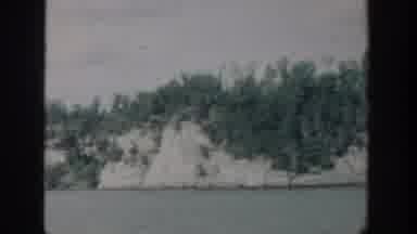 Wisconsin USA (1964): Slow Shot Of Trees And Nature