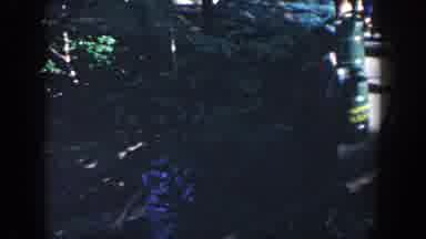 Wisconsin USA (1964): Tourist Group Walk Off Of A Boat And Onto An Island