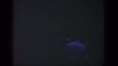 Wisconsin USA (1964): Nighttime Falls And Men Come Out To Have Fun In The Woods