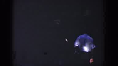 Wisconsin USA (1964): Home Movie Of Man In Dark Forest And Another Man Running