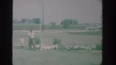 New York USA (1964): Three Guys Are Walking Together On The Grass As Another Boy