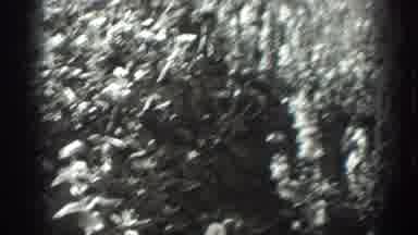 California USA (1936): People Going On A Walk