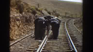 California USA (1936): Team Of Workers Fixing A Railroad Track