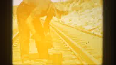 California USA (1936): Man Working On Train Tracks And Turkey's Poking Their Heads