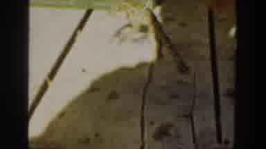 California USA (1936): Man Fishing In A Creek And A Frog Tangled In Fishing Line