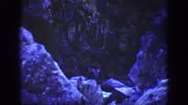 California USA (1936): Hiking In The Mountains And Found A Nice Watering Hole