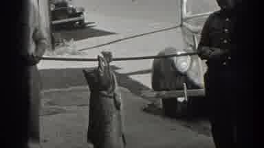 California USA (1936): It Is A Working Place