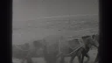 California USA (1936): Horseback Riding In The Desert Sand