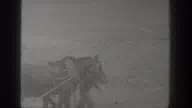 California USA (1936): A Hard Day At Farming