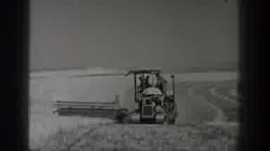 California USA (1936): Farmers Are Used In Agriculture Machine In Our Land To