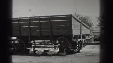 California USA (1936): Old Film, Country Feeling, Animals, And Farm
