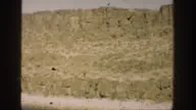 CALIFORNIA USA-1936: Coloured Old Video Of A Couple Enjoying A Free Time In The