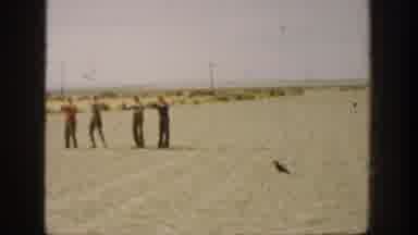 California USA (1936): Four Guys Point Their Rifles At An Animal And Shoot It