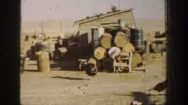 California USA (1936): 1 Day At The Farm