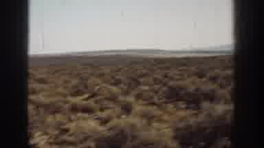 California USA (1936): Shrubs In The Desert Landscape