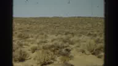 California USA (1936): A Hunter Man Go To The Forest And Search The Animal
