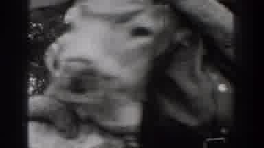 Chelan Washington USA (1939): It Was Shows One Plane And Two Man Was Catch A
