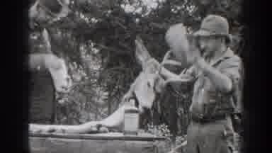Chelan Washington USA (1939): Old Grayscale Video Of Drunk Man Having Fun In The
